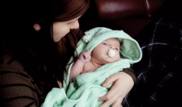 哺乳视频,捕捉哺乳动物温馨育儿瞬间